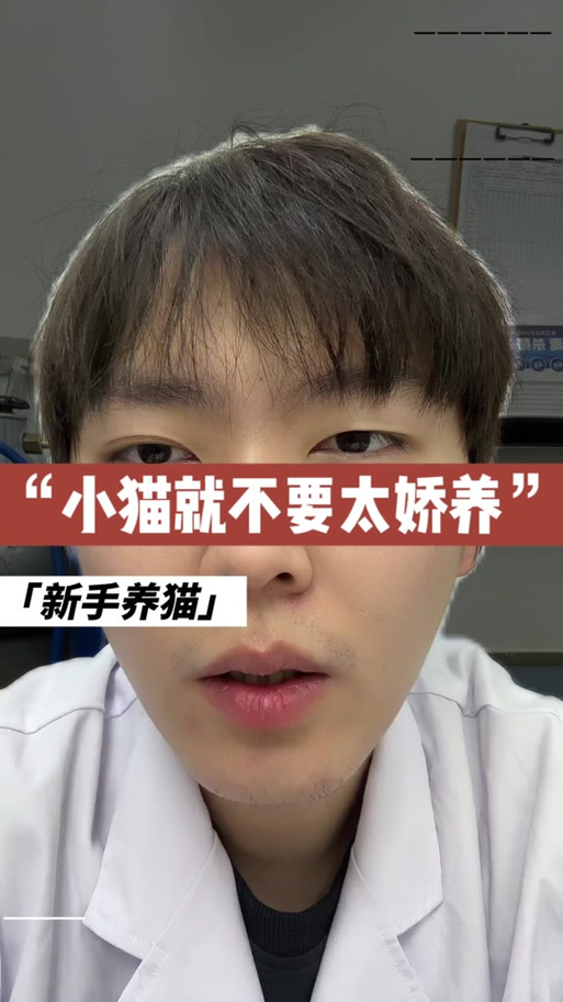 猫短短的叫一声