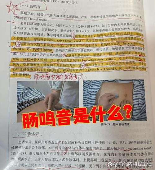什么发出了什么的声音
