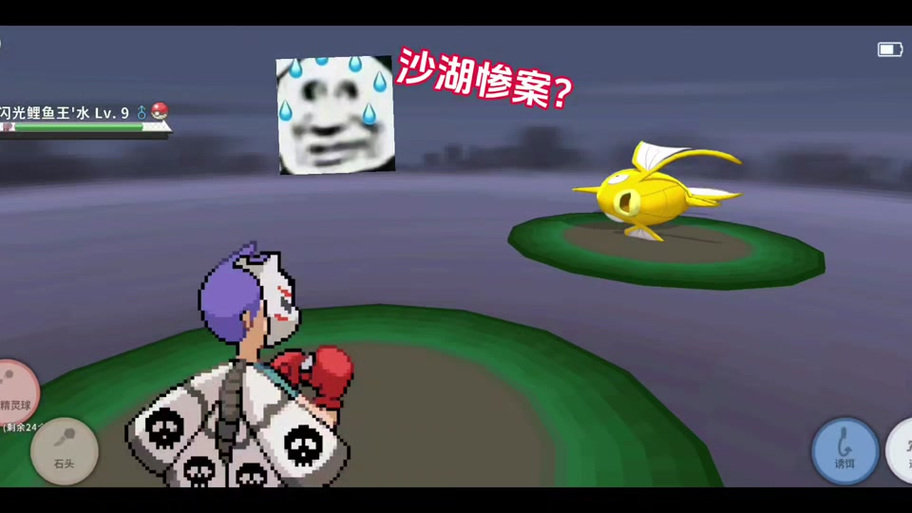 哪些精灵可以学闪光术