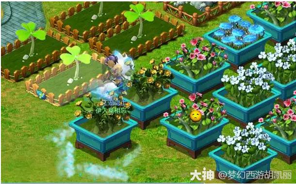 梦幻西游庭院围墙哪买