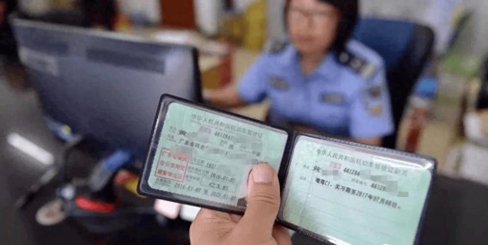 驾驶证在哪里拿截图2
