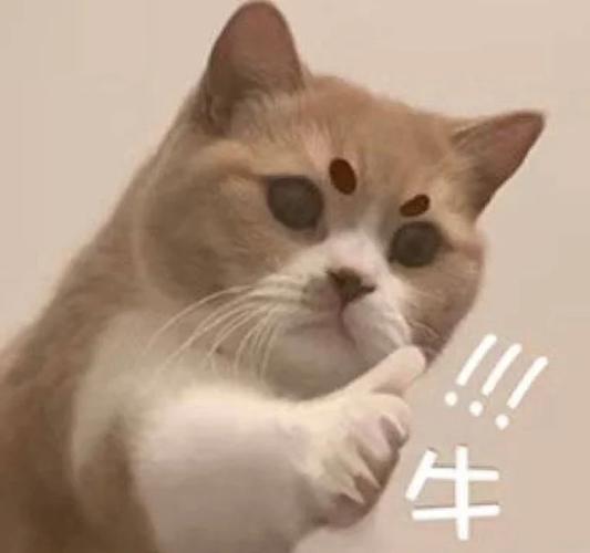 赞表情包