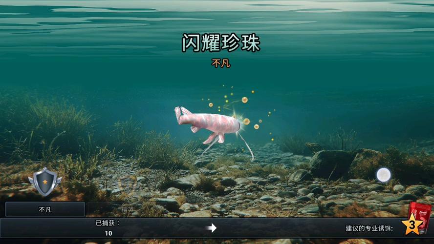 长吻雀鳝用什么钓