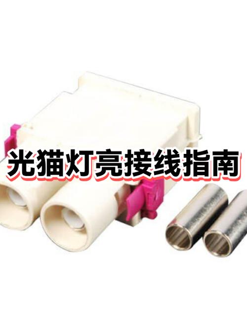 猫上的lan灯不闪了是为什么截图3