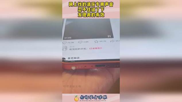手机声音口清灰