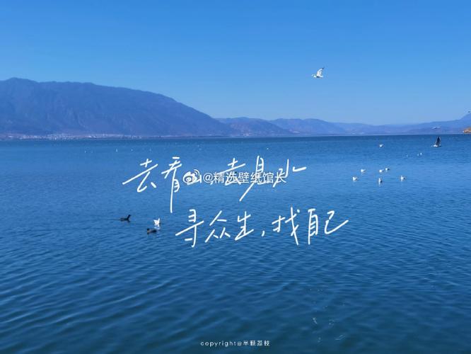 文案素材无水印截图2