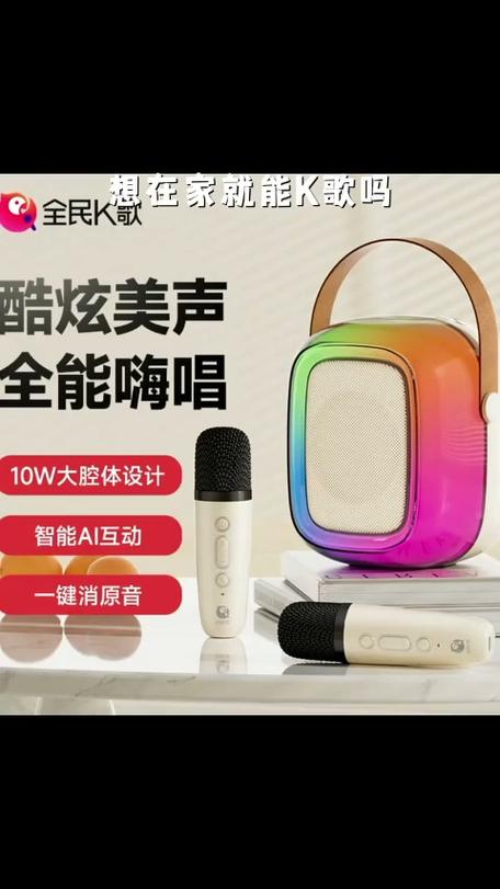 全民k歌麦克风什么牌子好