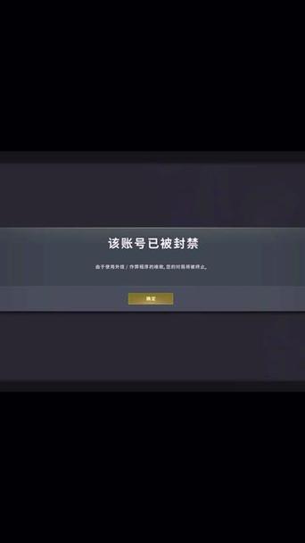 雷电模拟器吃鸡过检测截图2