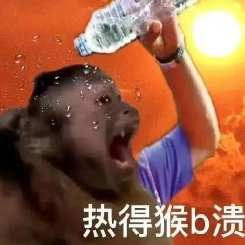 2026新出的热梗