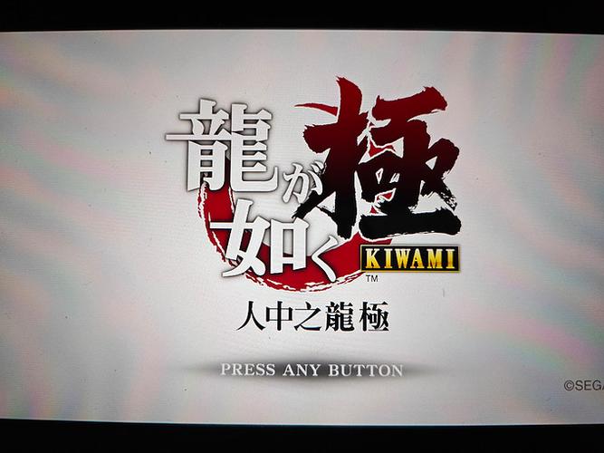 如龙极2公关俱乐部在第几章