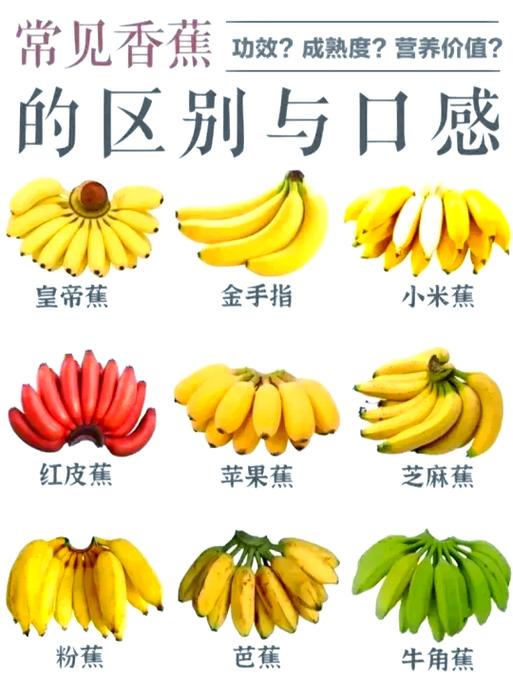 香蕉的主治与功效