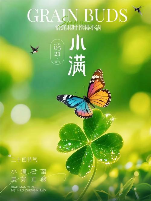 度小满和微粒贷