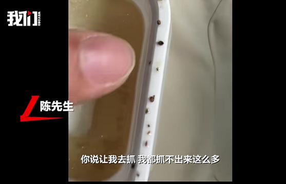 吃到虫子打12315还是12331
