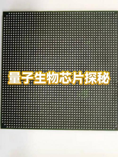 量子能量芯片对人体的作用