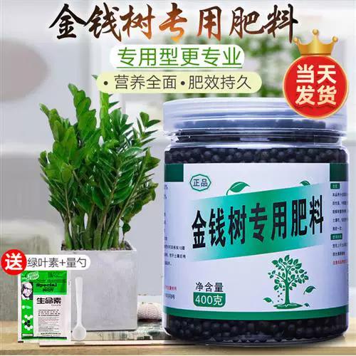 金钱树喜欢什么肥料