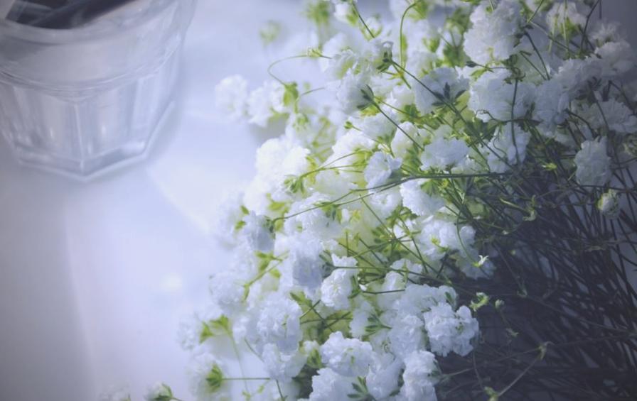满天星插花技巧
