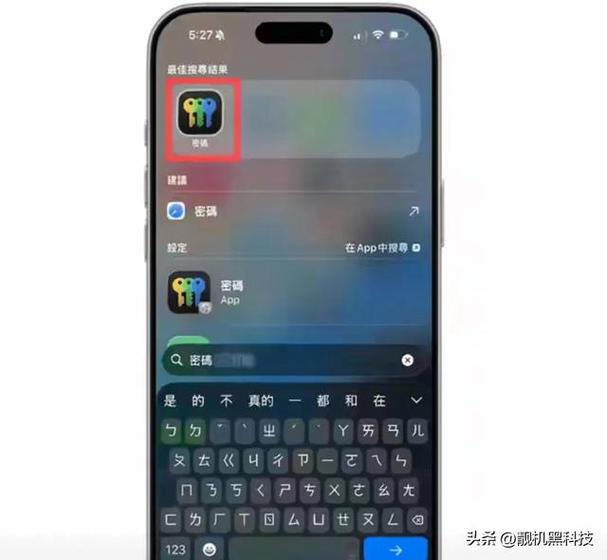 苹果手机查询APP使用过的密码