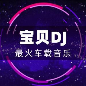 宝贝dj音乐网dj舞曲串烧