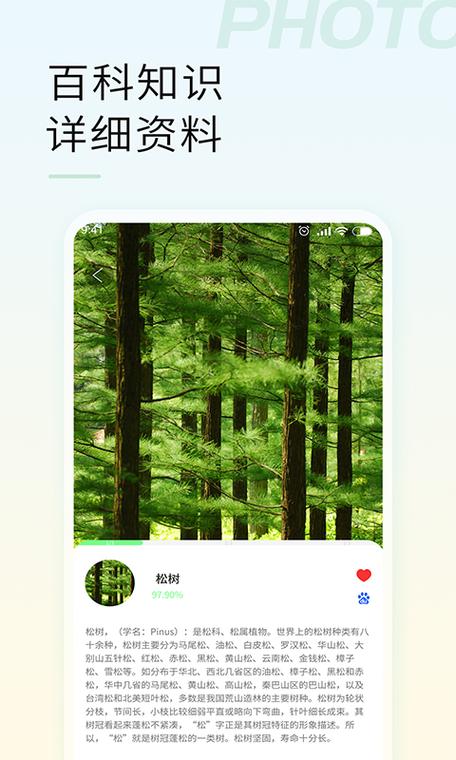 苹果11拍照延迟3秒怎么关闭