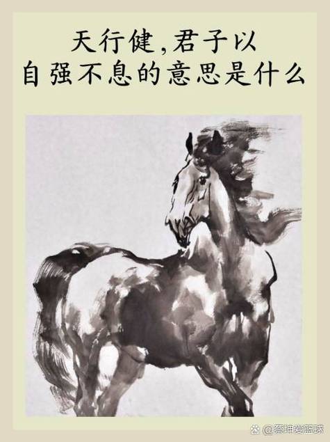 天行健象征和寓意