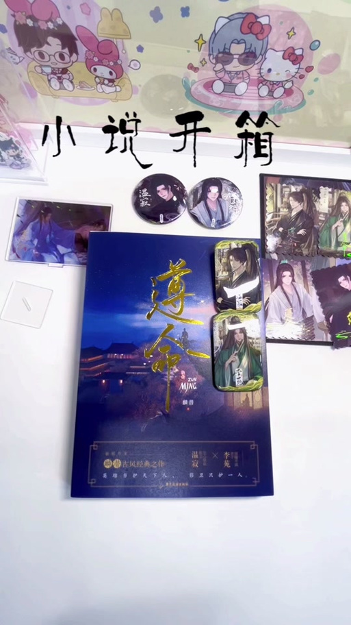 《遵命》小说