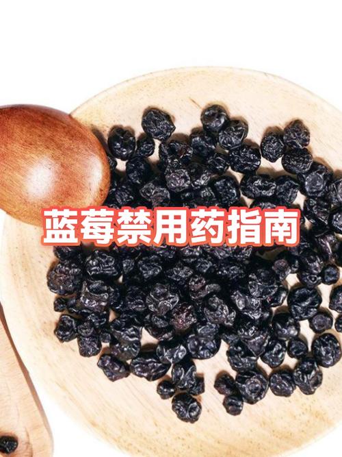 有人对蓝莓过敏吗截图2