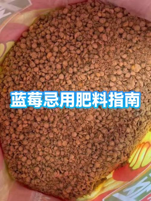 有人对蓝莓过敏吗截图3