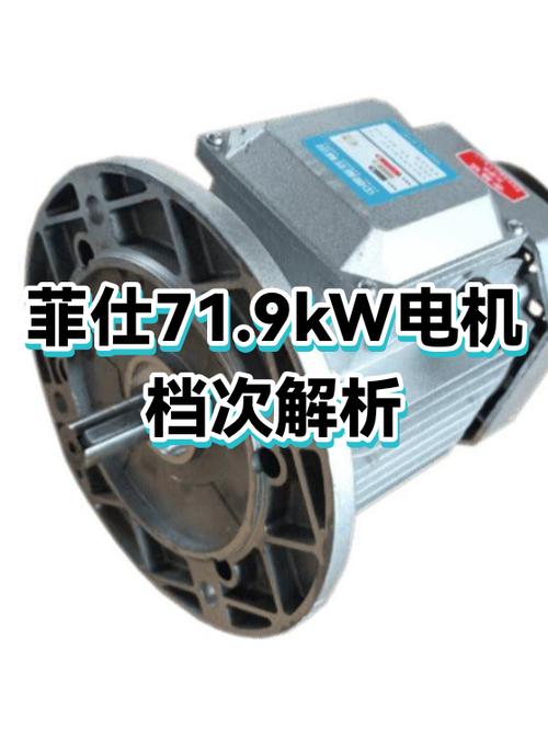 菲仕电机参数表