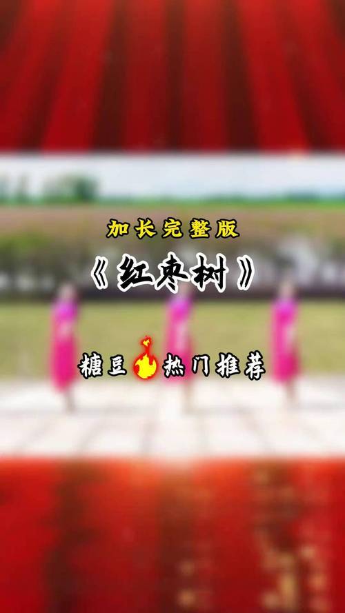 红枣树健身舞截图2