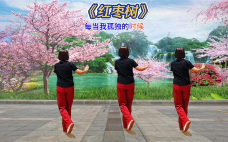 红枣树健身舞截图3