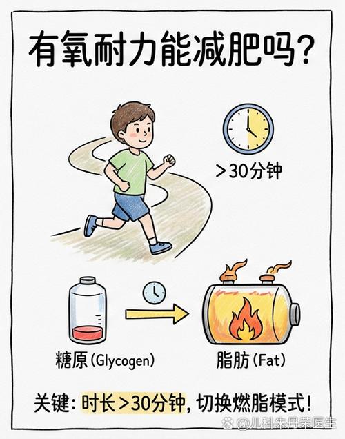 有氧耐力能减肥吗