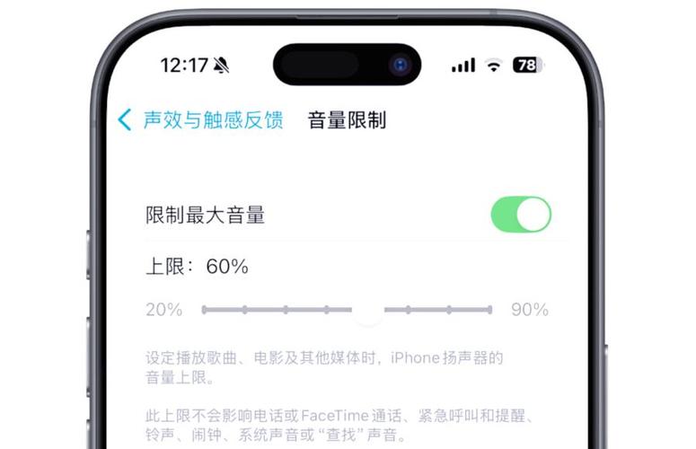 ios单独调节应用音量截图2