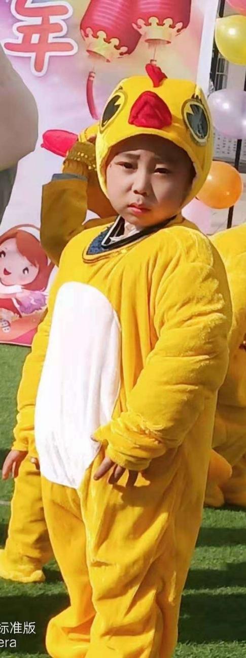 小黄鸭演出掉队视频