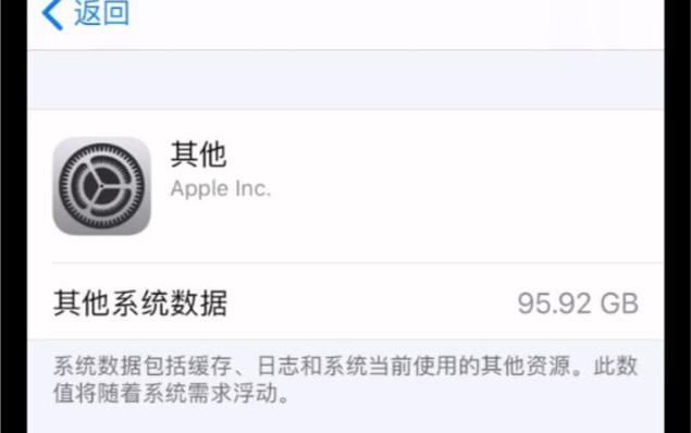 苹果中的其他系统数据怎么清理