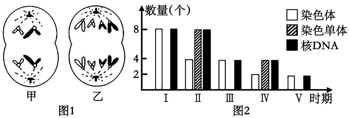 单体繁殖