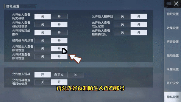 帮我隐藏和平精英