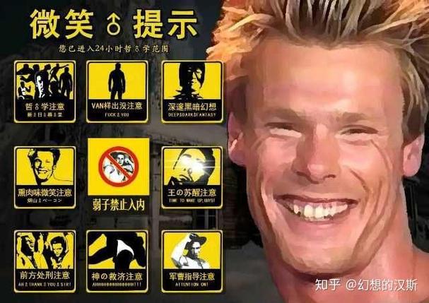 van为什么很火