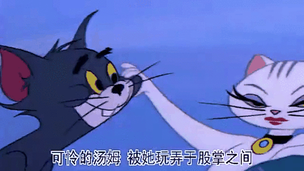 可怜的汤姆表情包图片保存 可怜的汤姆表情包图片保存