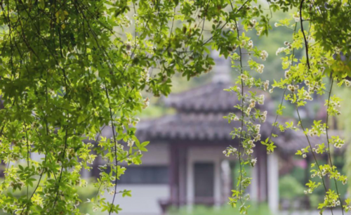 旧人已去截图3
