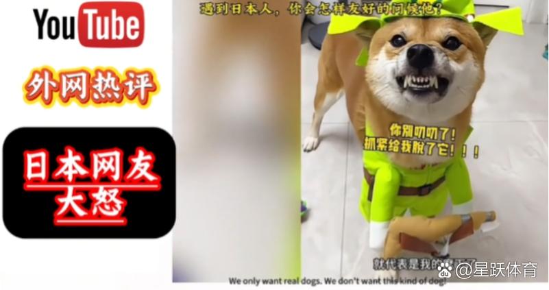 滑稽表情怎么打出来截图2