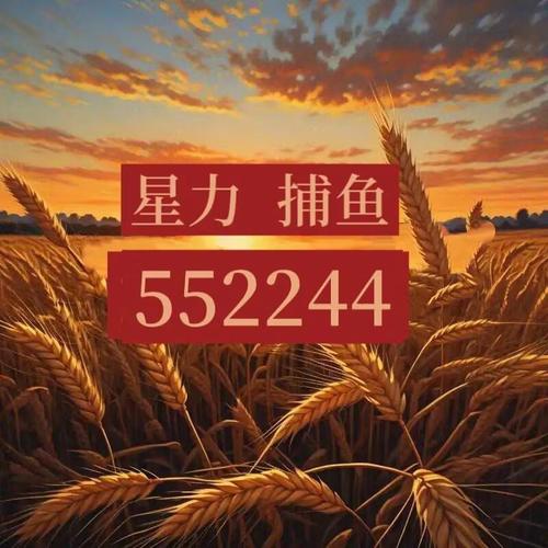 星力直营九代正版