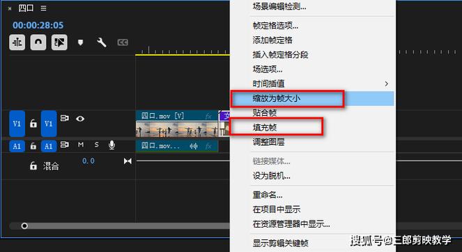 调整视频大小的步骤