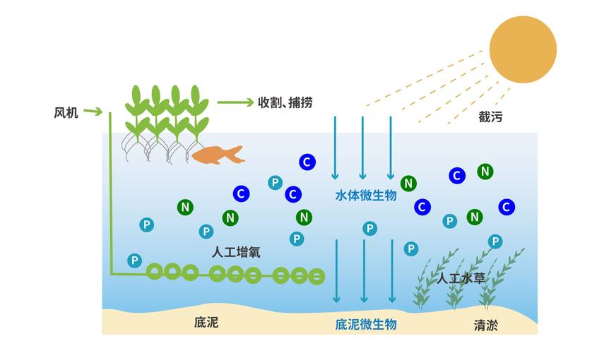 手机中毒点设置闪退怎么办
