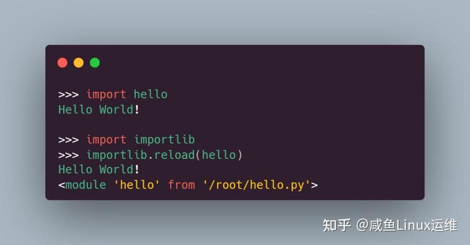 python代码运行器