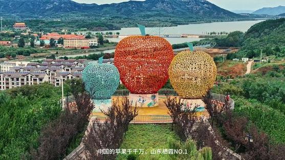 山东烟台栖霞苹果批发基地