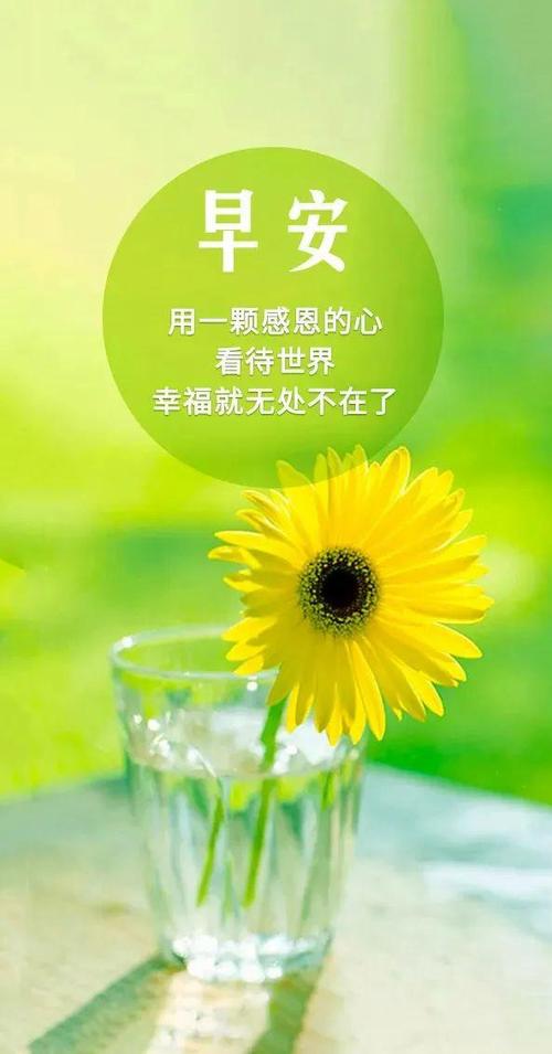 元气满满的早安文案
