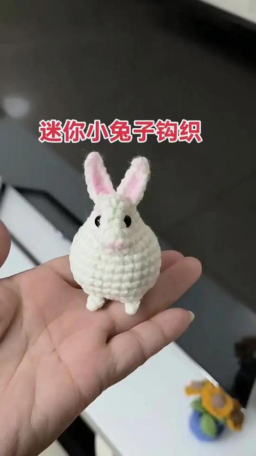 迷你兔教程