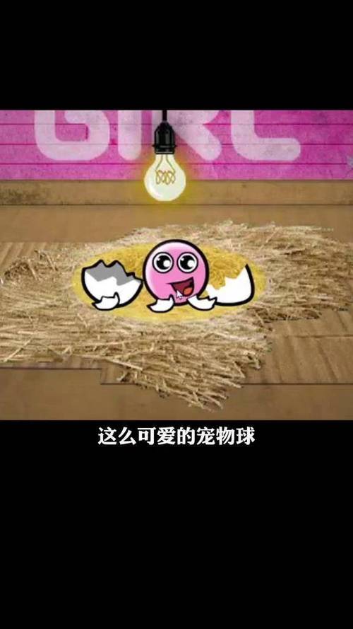 4399养只宠物球截图3