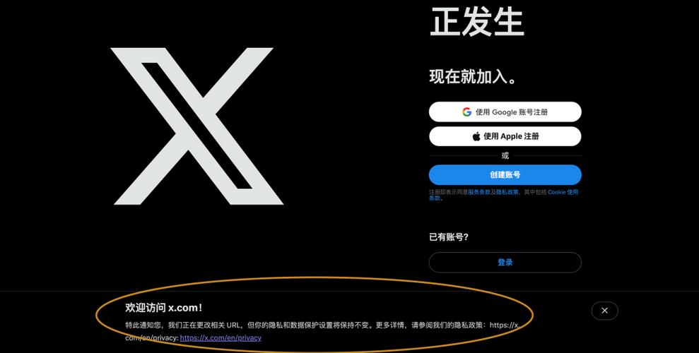 推特你搜索的字词未显示任何结果