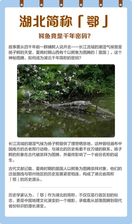 CCR鳄鱼密码